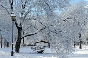 31 Parkwood Dr, Windsor, CT 06095 - Photo 39