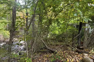 144 Belden Rd, Burlington, CT 06013 - Photo 3