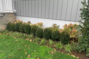 44 Cross St, New Canaan, CT 06840 - Photo 3