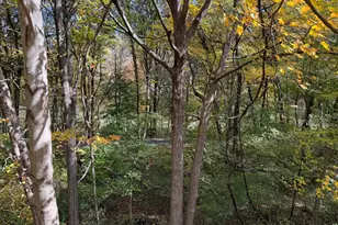 175 Mill Pond Rd, Hamden, CT 06514 - Photo 19