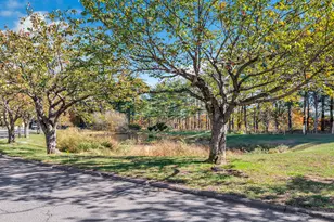 365 Mather St, Hamden, CT 06514 - Photo 27