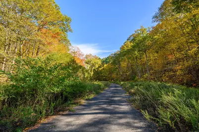 Ives Court, Ridgefield, CT 06877 - Photo 7