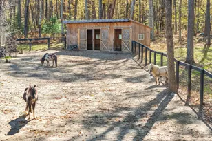 317 Tater Hill Rd, East Haddam, CT 06423 - Photo 7