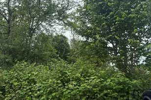 Middletown Ave, Wethersfield, CT 06109 - Photo 1
