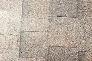 15 Alton St, New Haven, CT 06513 - Photo 23