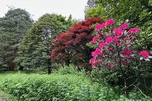 49 South St, Washington, CT 06793 - Photo 31