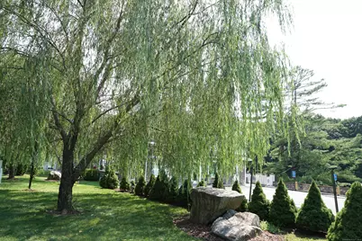 1086 Long Ridge Road #Right, Stamford, CT 06903 - Photo 13