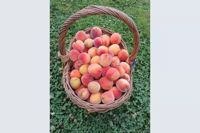 70 Lawlor Street, Waterbury, CT 06708 - Photo 31