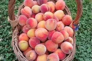 70 Lawlor St, Waterbury, CT 06708 - Photo 31