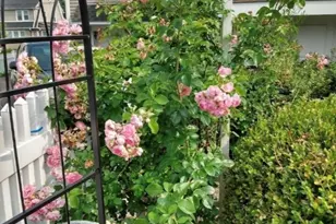 70 Lawlor St, Waterbury, CT 06708 - Photo 27