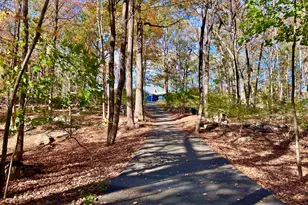 56 Partrick Rd, Westport, CT 06880 - Photo 5