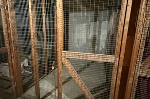 1168 Main St, Stratford, CT 06615 - Photo 11