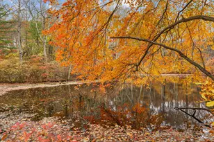 226 Ingleside Dr, Stamford, CT 06903 - Photo 21