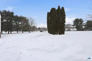 16 Seymour Rd, East Granby, CT 06026 - Photo 35