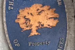 11 Marshall St, Hartford, CT 06105 - Photo 3