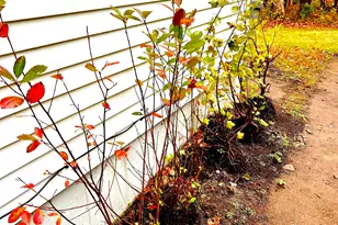 223 Osborn Rd, Naugatuck, CT 06770 - Photo 7