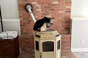 1 Frankie Ln, Plymouth, CT 06786 - Photo 19