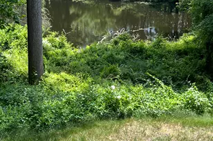 305 Rimmon Rd, Woodbridge, CT 06525 - Photo 27