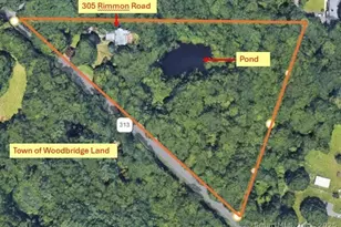 305 Rimmon Rd, Woodbridge, CT 06525 - Photo 29