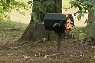 1623 Old Pond Ln, Norwich, CT 06360 - Photo 25