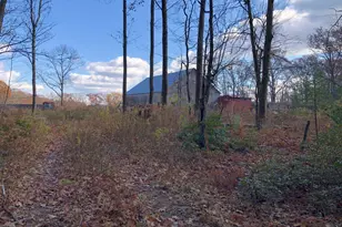 11 Shantry Rd, Colebrook, CT 06021 - Photo 9