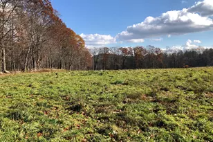 11 Shantry Rd, Colebrook, CT 06021 - Photo 15