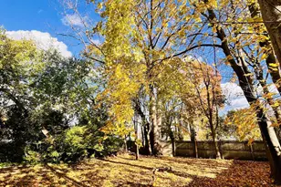 61 Oak St, Windham, CT 06226 - Photo 5