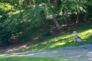 85 McVeagh Rd, Westbrook, CT 06498 - Photo 39