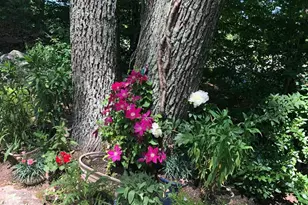 85 McVeagh Rd, Westbrook, CT 06498 - Photo 11