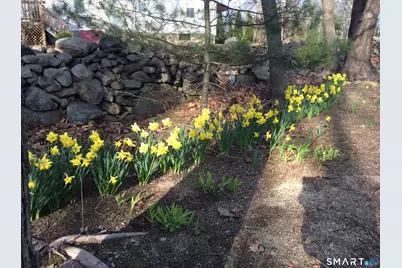 3 Maler Avenue, Shelton, CT 06484 - Photo 33