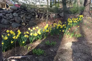 3 Maler Ave, Shelton, CT 06484 - Photo 33