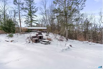 37 East Cotton Hill Road, New Hartford, CT 06057 - Photo 9