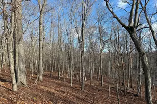 Chesterfield Rd, East Lyme, CT 06333 - Photo 1