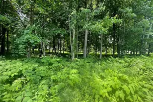 369 Turnpike Rd, Somers, CT 06071 - Photo 1