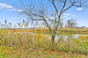 1235 Fairfield Beach Rd, Fairfield, CT 06824 - Photo 39