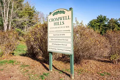 23 Margo Court #23, Cromwell, CT 06416 - Photo 35