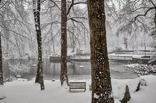 50 Aiken St, Norwalk, CT 06851 - Photo 39