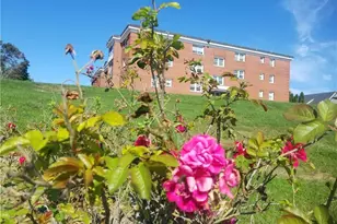 185 Melba St, Milford, CT 06460 - Photo 3