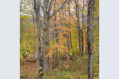 64 Big Bear Hill Road, New Milford, CT 06776 - Photo 21