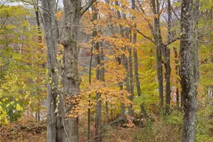 64 Big Bear Hill Rd, New Milford, CT 06776 - Photo 21