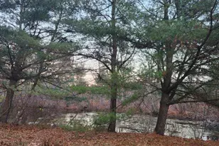 205 Camp St, Plainville, CT 06062 - Photo 15