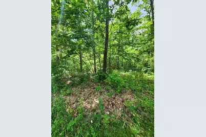 11 Old Paddock Lane, Kent, CT 06757 - Photo 5