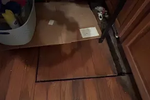 236 Union City Rd, Naugatuck, CT 06770 - Photo 11