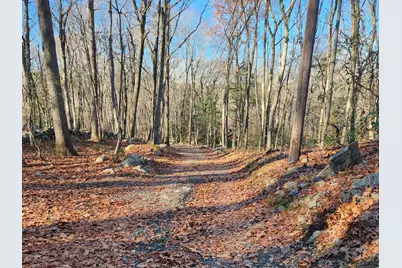 11 Judges Hollow Road, Fairfield, CT 06824 - Photo 3