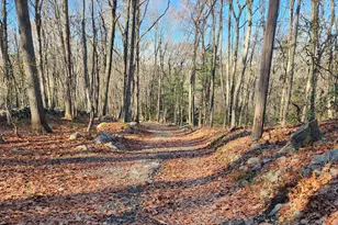 11 Judges Hollow Rd, Fairfield, CT 06824 - Photo 3