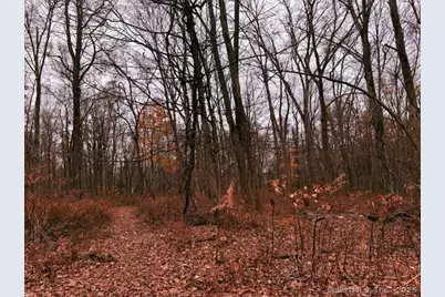 72D Walnut Street, Seymour, CT 06483 - Photo 5