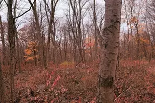 72D Walnut St, Seymour, CT 06483 - Photo 1