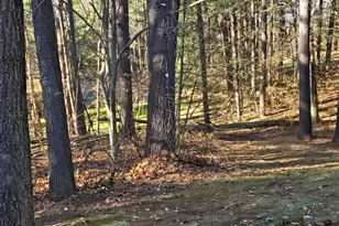 3 Acorn Glen, Avon, CT 06001 - Photo 35