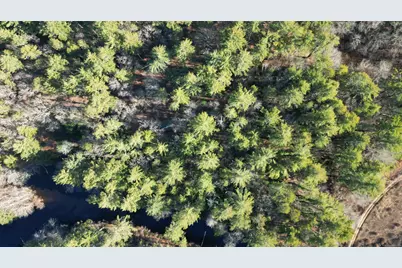 81 Deerfield Drive, Sterling, CT 06373 - Photo 3