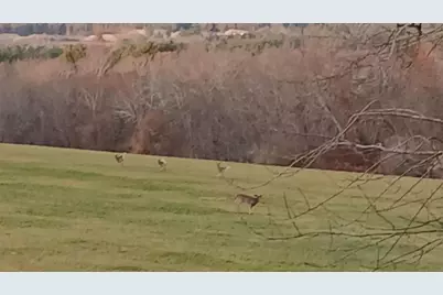 63 Glebas Road, Plainfield, CT 06374 - Photo 25